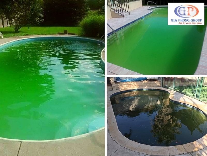 Cách Xử Lý Nước Hồ Bơi Bị Rêu Tảo (HIỆU QUẢ – AN TOÀN)  